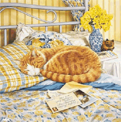 Rudy kot śpi w łożku